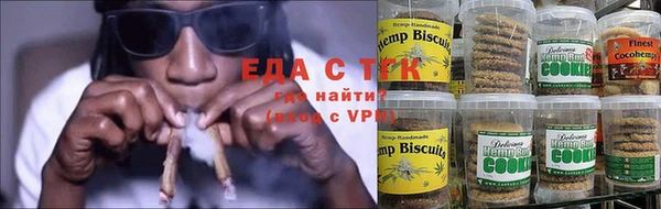 ECSTASY Бородино