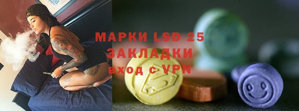 ECSTASY Бородино
