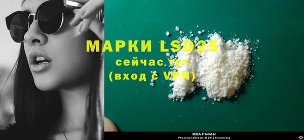 ECSTASY Бородино