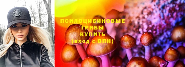 а пвп мука Покачи
